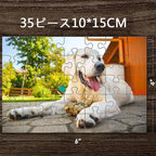 8_f8882883-92fe-4ee8-aadc-5bd29776b059