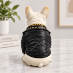 Personalisierte 3D-Haustierfigur im Kostüm nach Foto – Beispiel im schwarzen Biker-Look, Rückansicht