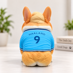 Personalisierte 3D-Haustierfigur im Kostüm nach Foto – 3D-Druck & Handbemalung