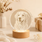 Personalisierter 3D Foto Kristall in besonderer Form – Individuelles Lasergravur Geschenk